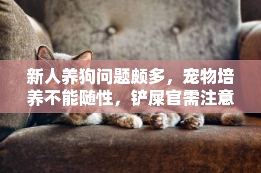 新人養狗問題頗多，寵物培養不能隨性，鏟屎官需注意四點！ 
