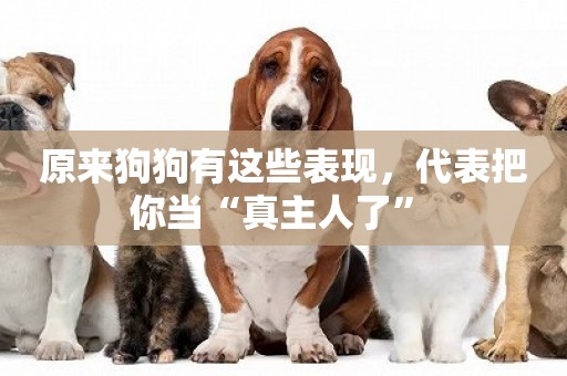 原來狗狗有這些表現，代表把你當“真主人了” 