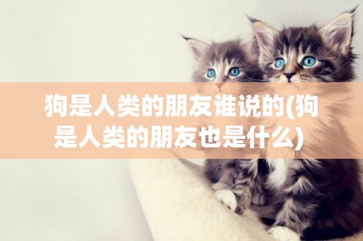 狗是人類的朋友誰說的(狗是人類的朋友也是什么) 