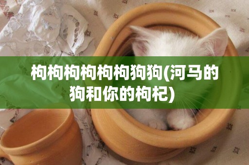 枸枸枸枸枸枸狗狗(河馬的狗和你的枸杞) 