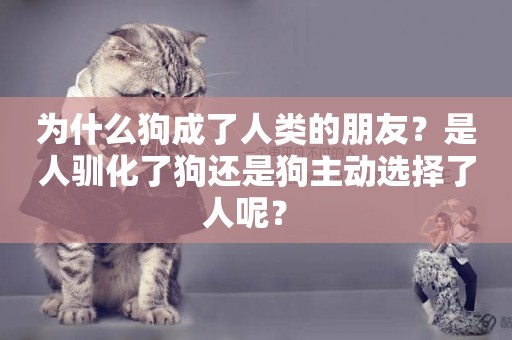 為什么狗成了人類的朋友？是人馴化了狗還是狗主動選擇了人呢？ 