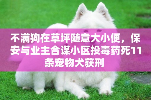 不滿狗在草坪隨意大小便，保安與業主合謀小區投毒藥死11條寵物犬獲刑 