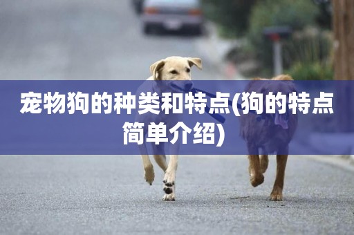 寵物狗的種類和特點(狗的特點簡單介紹) 