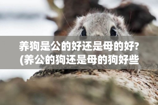 養狗是公的好還是母的好?(養公的狗還是母的狗好些) 