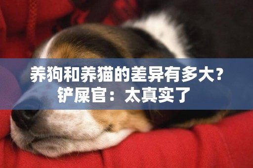 養狗和養貓的差異有多大？鏟屎官：太真實了 