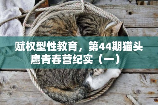 賦權型性教育，第44期貓頭鷹青春營紀實（一） 