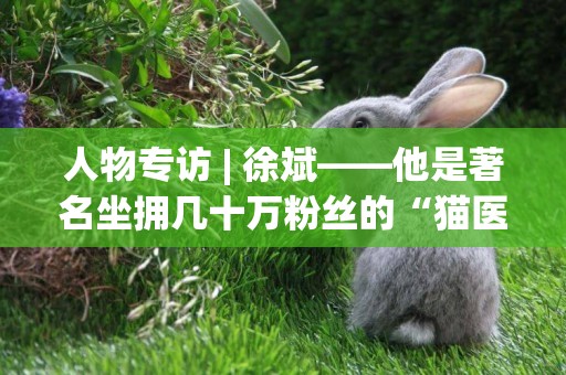 人物專訪 | 徐斌——他是著名坐擁幾十萬粉絲的“貓醫生小黑板” 