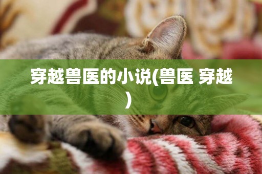穿越獸醫的小說(獸醫 穿越) 