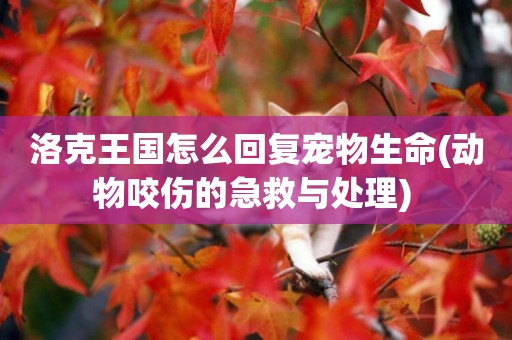 洛克王國怎么回復寵物生命(動物咬傷的急救與處理) 