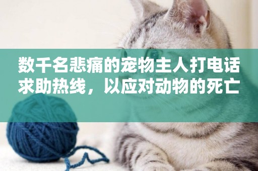 數千名悲痛的寵物主人打電話求助熱線，以應對動物的死亡 