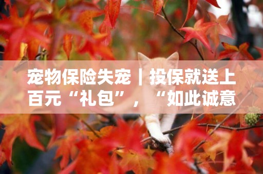 寵物保險失寵｜投保就送上百元“禮包”，“如此誠意”可持續嗎 