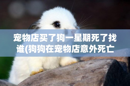 寵物店買了狗一星期死了找誰(狗狗在寵物店意外死亡) 