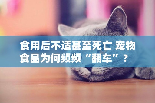 食用后不適甚至死亡 寵物食品為何頻頻“翻車”？ 
