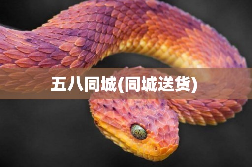 五八同城(同城送貨) 