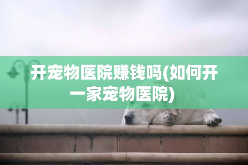 開寵物醫院賺錢嗎(如何開一家寵物醫院) 