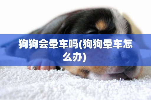 狗狗會暈車嗎(狗狗暈車怎么辦) 