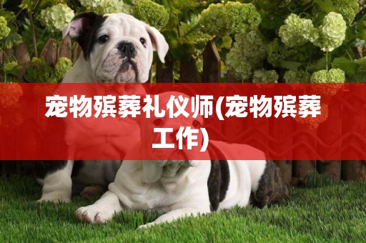 寵物殯葬禮儀師(寵物殯葬工作) 