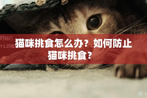 貓咪挑食怎么辦？如何防止貓咪挑食？ 