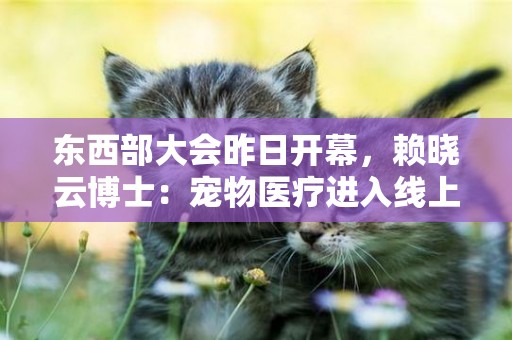 東西部大會昨日開幕，賴曉云博士：寵物醫療進入線上“元年” 