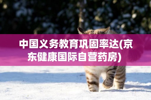 中國義務教育鞏固率達(京東健康國際自營藥房) 