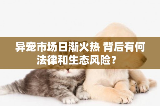 異寵市場日漸火熱 背后有何法律和生態風險？ 