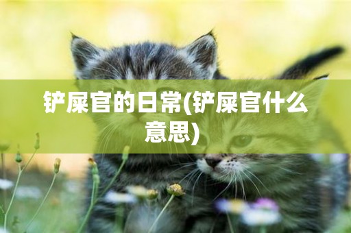 鏟屎官的日常(鏟屎官什么意思) 
