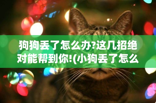狗狗丟了怎么辦?這幾招絕對能幫到你!(小狗丟了怎么辦?) 
