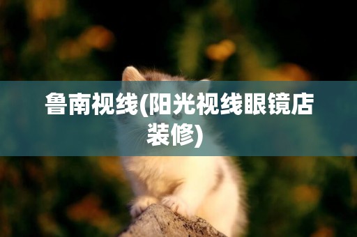 魯南視線(陽光視線眼鏡店裝修) 