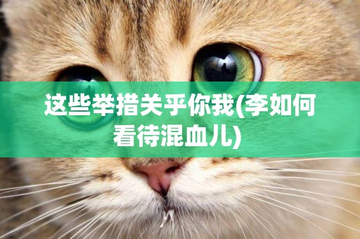 這些舉措關乎你我(李如何看待混血兒) 