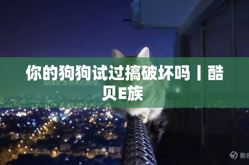 你的狗狗試過搞破壞嗎丨酷貝E族 