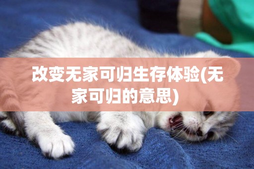 改變無家可歸生存體驗(無家可歸的意思) 