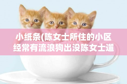 小紙條(陳女士所住的小區經常有流浪狗出沒陳女士遛狗時一只體型較大的) 