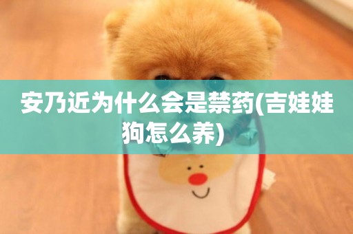 安乃近為什么會是禁藥(吉娃娃狗怎么養) 