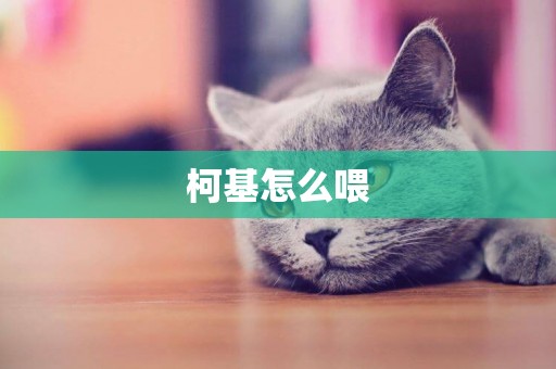 柯基怎么喂