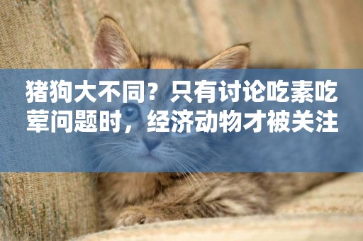 豬狗大不同？只有討論吃素吃葷問題時，經濟動物才被關注 