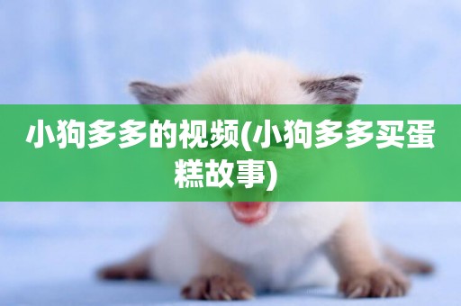 小狗多多的視頻(小狗多多買蛋糕故事) 