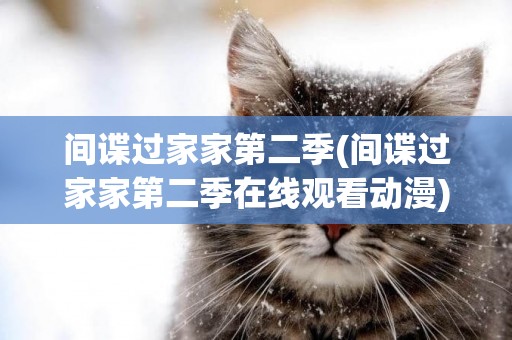 間諜過家家第二季(間諜過家家第二季在線觀看動漫) 