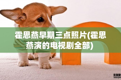 霍思燕早期三點照片(霍思燕演的電視劇全部) 