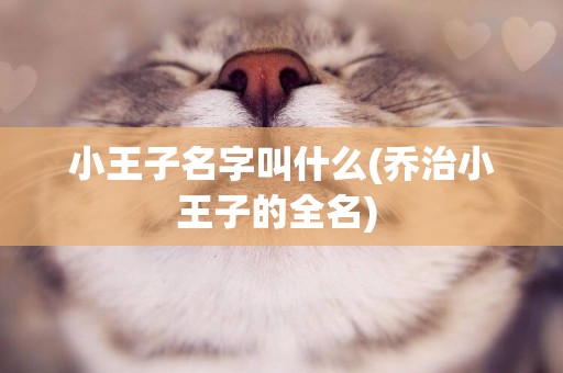 小王子名字叫什么(喬治小王子的全名) 