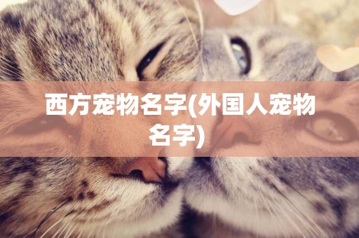 西方寵物名字(外國人寵物名字) 