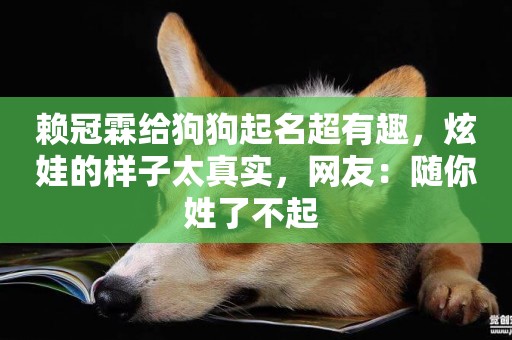 賴冠霖給狗狗起名超有趣，炫娃的樣子太真實，網友：隨你姓了不起 