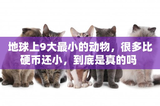 地球上9大最小的動物，很多比硬幣還小，到底是真的嗎 