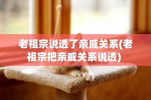 老祖宗說透了親戚關系(老祖宗把親戚關系說透) 