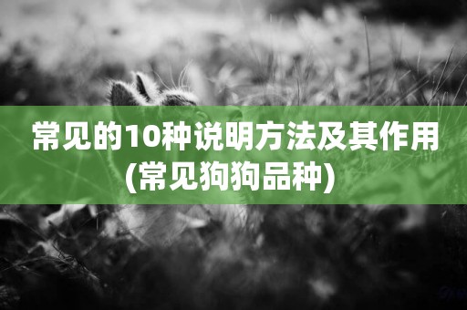 常見的10種說明方法及其作用(常見狗狗品種) 