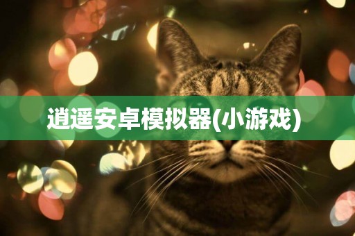 逍遙安卓模擬器(小游戲) 