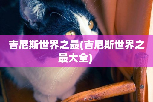 吉尼斯世界之最(吉尼斯世界之最大全) 