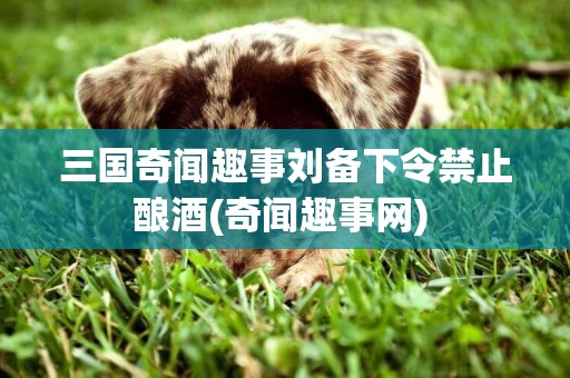 三國奇聞趣事劉備下令禁止釀酒(奇聞趣事網) 