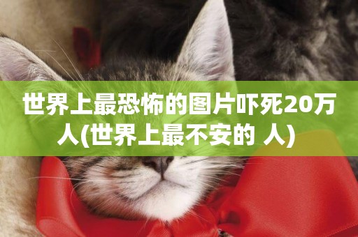 世界上最恐怖的圖片嚇死20萬人(世界上最不安的 人) 