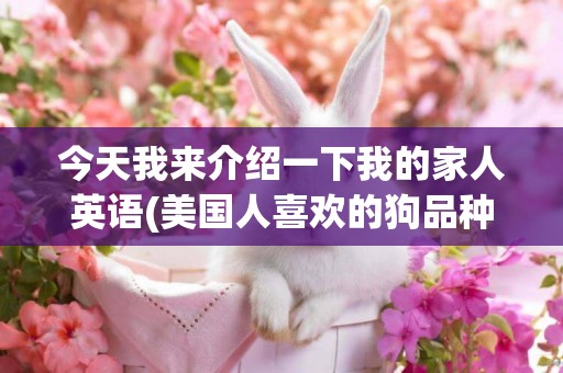 今天我來介紹一下我的家人英語(美國人喜歡的狗品種) 