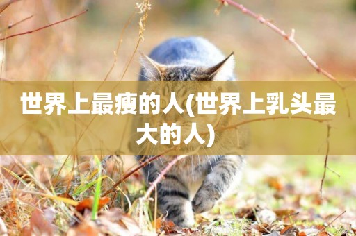 世界上最瘦的人(世界上乳頭最大的人) 